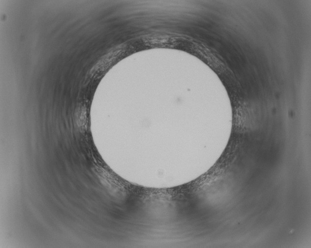 X0000062150820200512090948