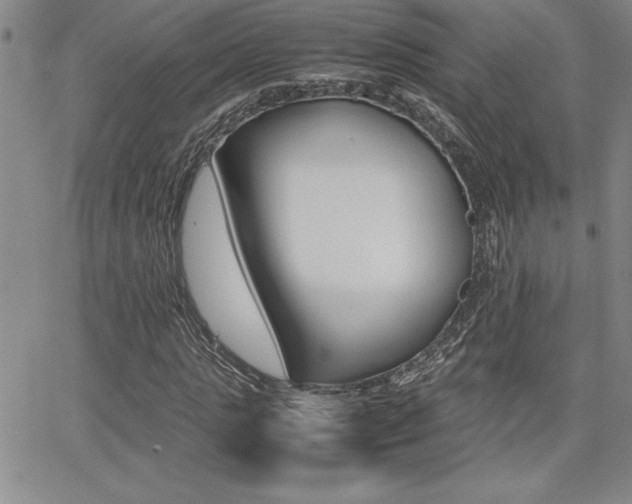 X0000062150821200512090948