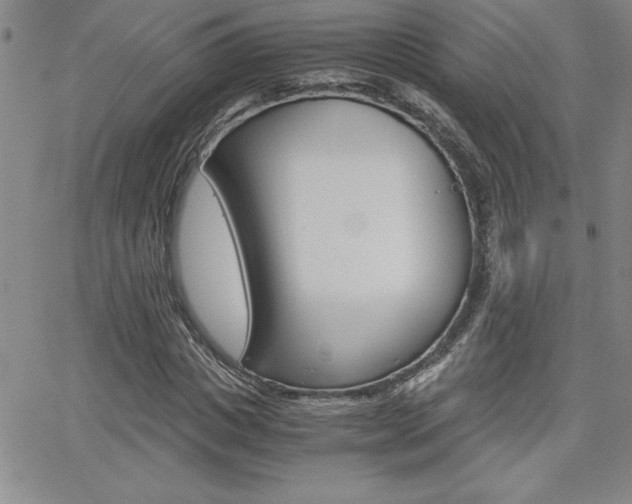 X0000062150825200512090948