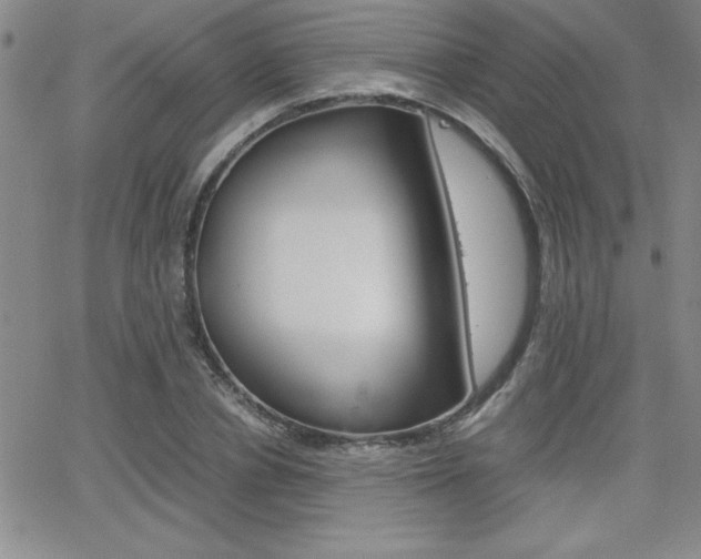 X0000062150834200512090948