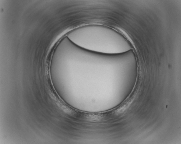 X0000062150835200512090948