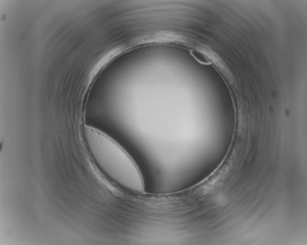 X0000062150850200512090949
