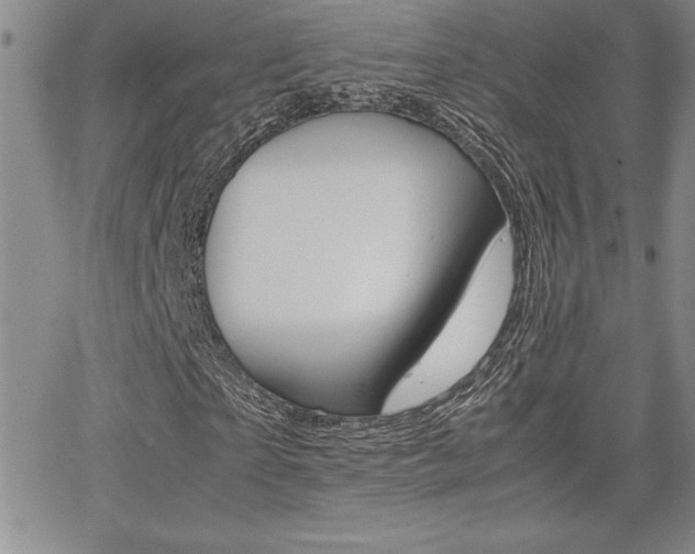 X0000062150865200512090948