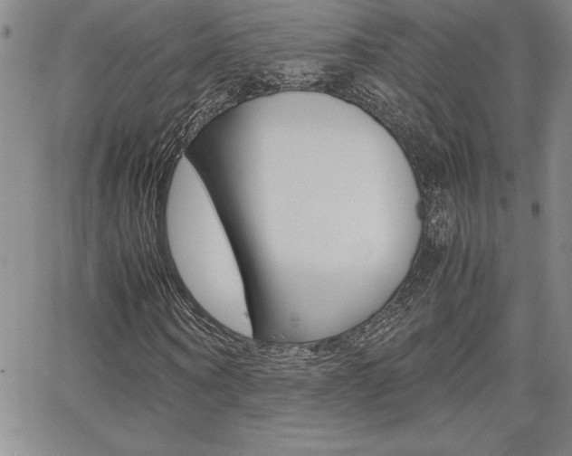 X0000062150866200512090948