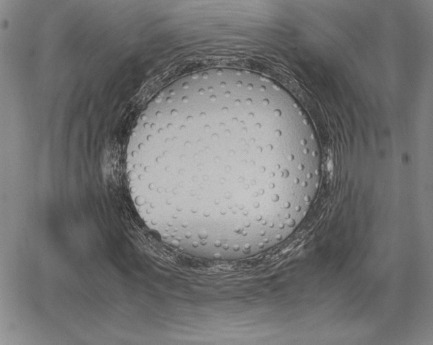 X0000062150867200512090948