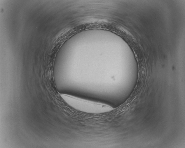 X0000062150869200512090948
