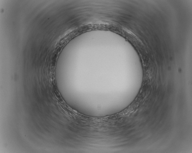 X0000062150870200512090948