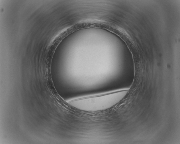 X0000062150872200512090948