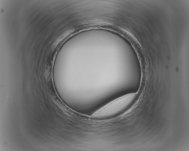 X0000062150873200512090948
