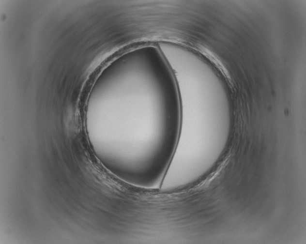 X0000062150876200512090948