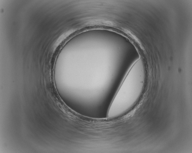 X0000062150877200512090948