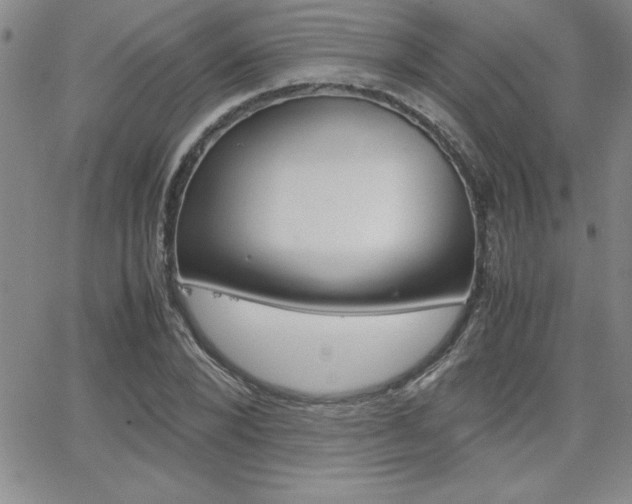 X0000062150880200512090948