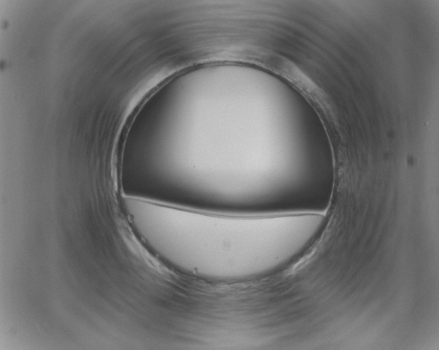 X0000062150892200512090948