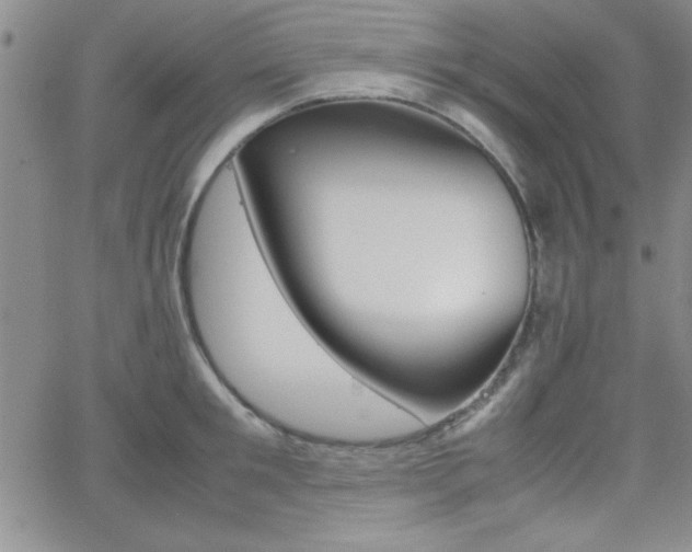 X0000062150901200512090947
