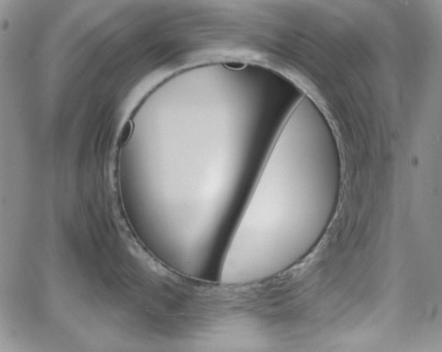 X0000062150912200512090947