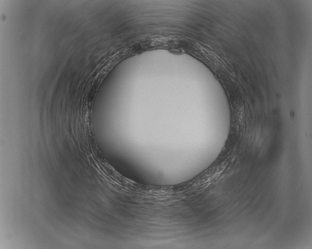 X0000062150914200512090947