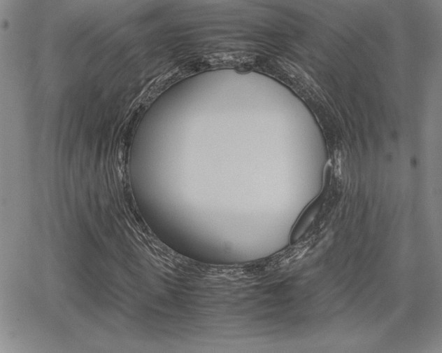 X0000062150915200512090947