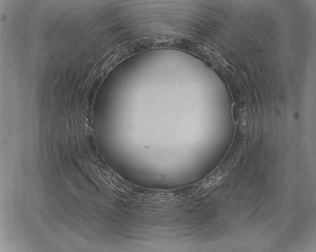 X0000062150916200512090947