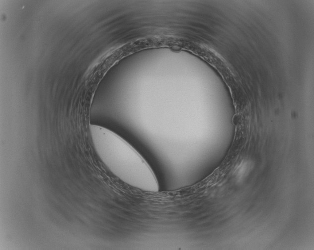 X0000062150919200512090947