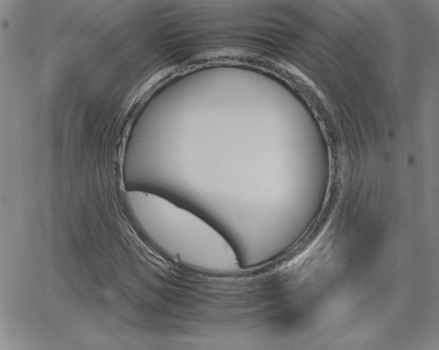 X0000062150921200512090947