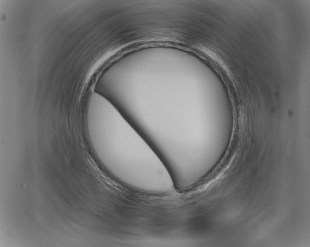X0000062150925200512090947