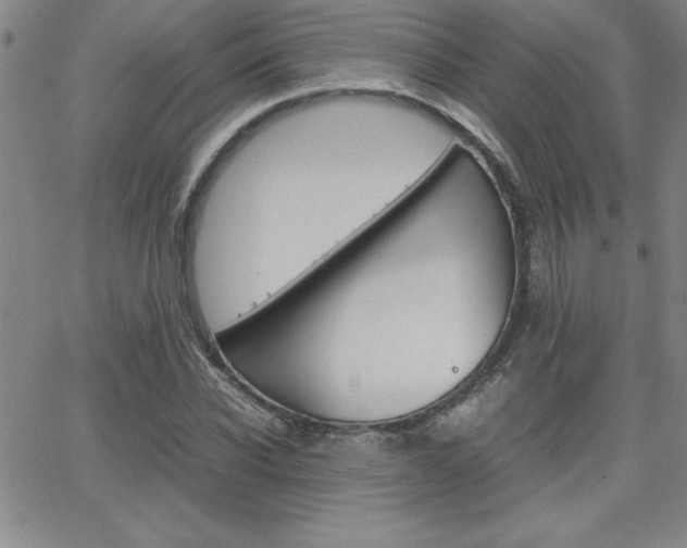 X0000062150926200512090947