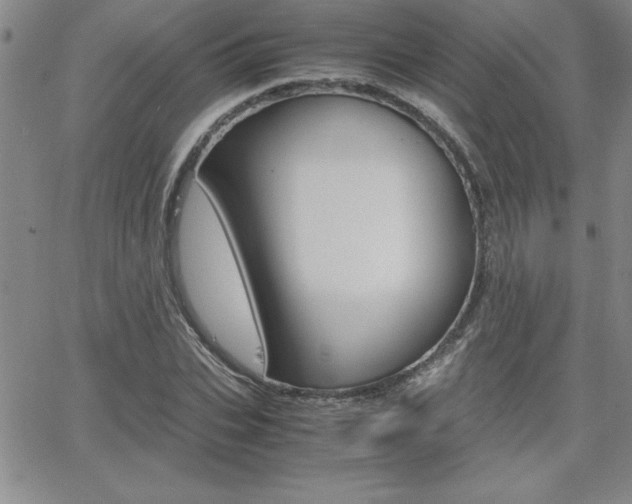 X0000062150927200512090947