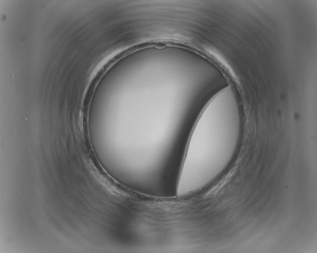 X0000062150932200512090947