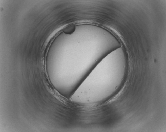X0000062150933200512090947