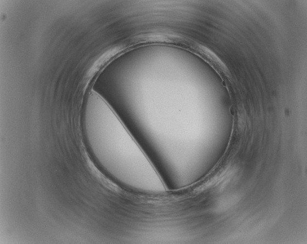 X0000062150938200512090947