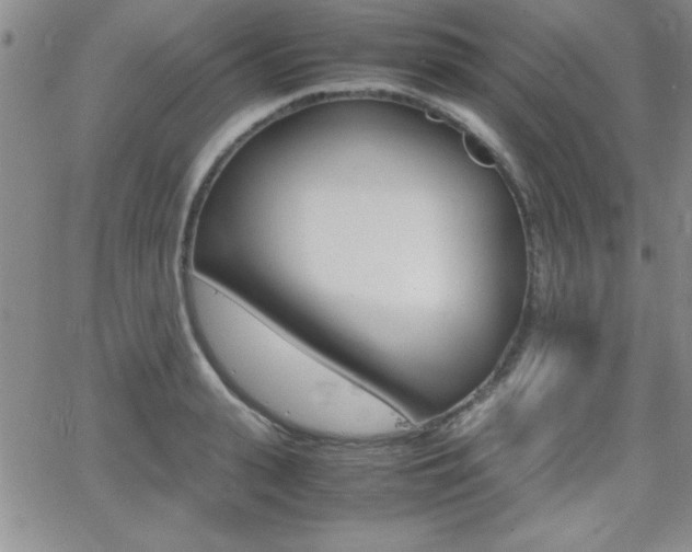 X0000062150943200512090947