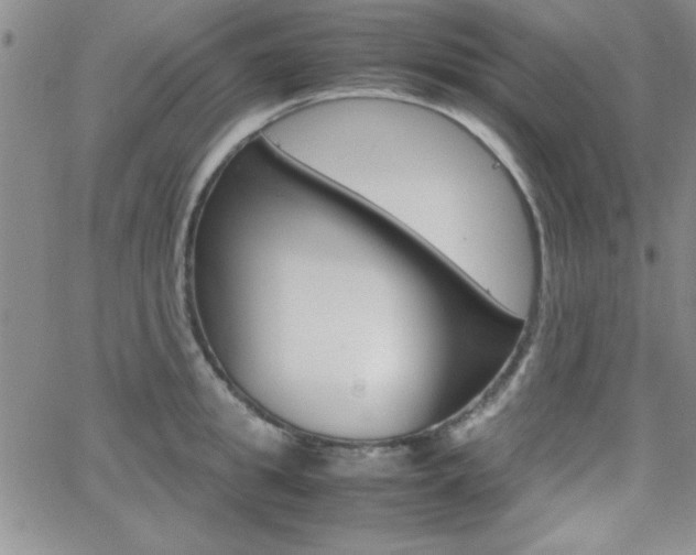 X0000062150949200512090947