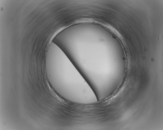 X0000062150953200512090947