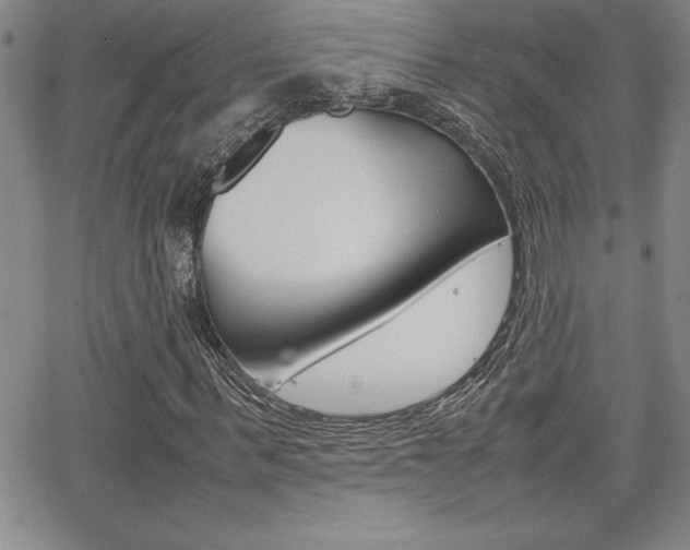 X0000062150963200512090946