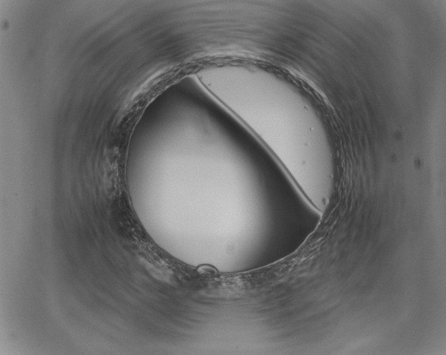 X0000062150968200512090946