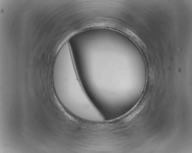 X0000062150993200512090946