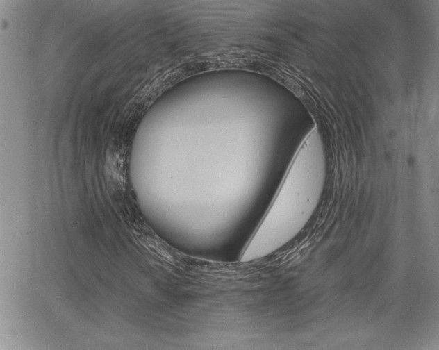 X0000062151010200512090945