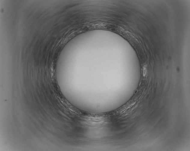 X0000062151011200512090945