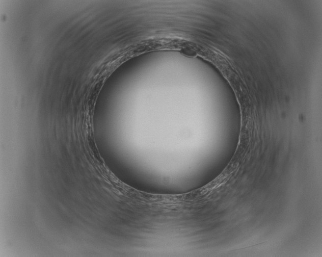 X0000062151014200512090945