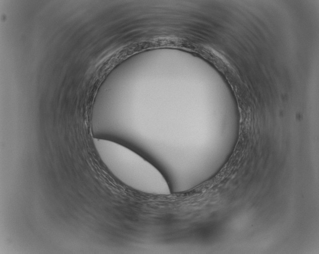 X0000062151015200512090945