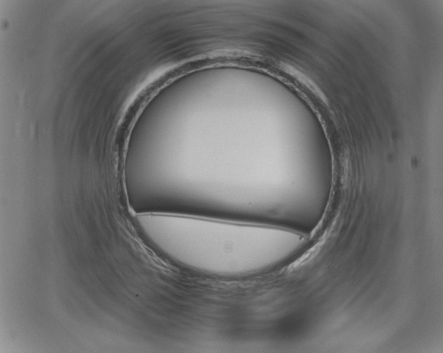 X0000062151021200512090945