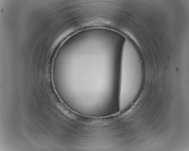 X0000062151026200512090945