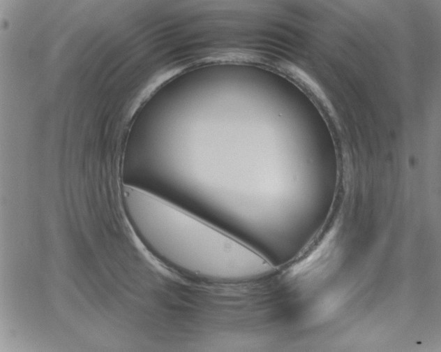 X0000062151041200512090945