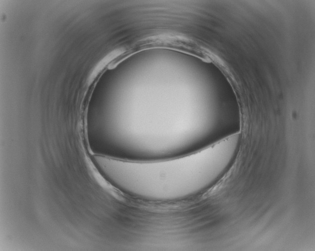 X0000062151042200512090945
