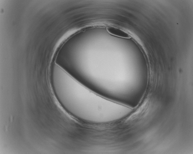 X0000062151045200512090946