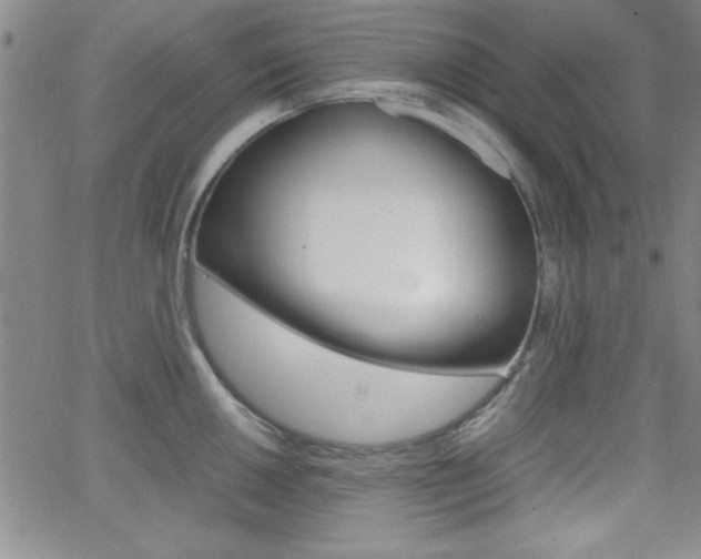 X0000062151050200512090946