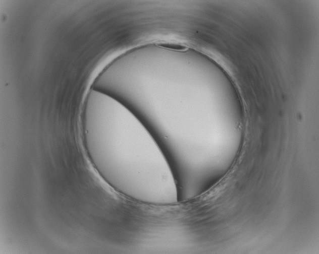 X0000062151056200512090946