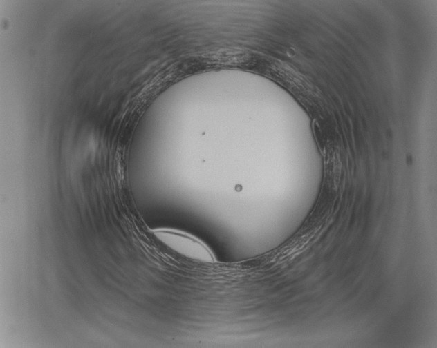 X0000062151058200512090945