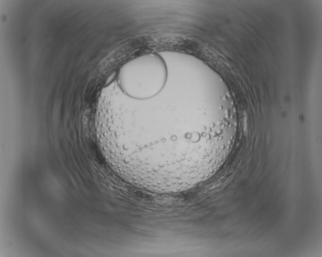 X0000062151059200512090945