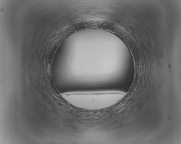X0000062151061200512090945